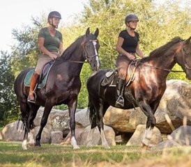 5-Daagse Paardrij- en Trailcombinatie Met Je Eigen Paard Voor Groepen/Individuen, Wateren, Nederland - Photo 5