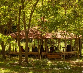 8 jours en stage de yoga - Essence of Yoga: immersion estivale à Anavra, Grèce - Photo 4