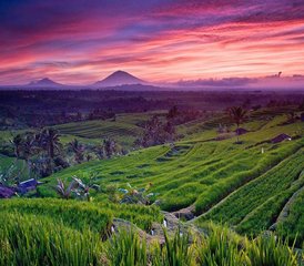 Formación de facilitadores de sanación con sonido vibracional de 3 días en Bali, Indonesia - Photo 4