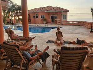 6 Day Magic Mushroom Transformative Retreat in Saint Mary, Jamaica
