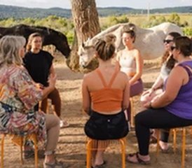 6 Day Solar Eclipse Retreat with Horses in Catalonia, Spain - Photo 3