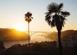 Porto Retreats und Reisen