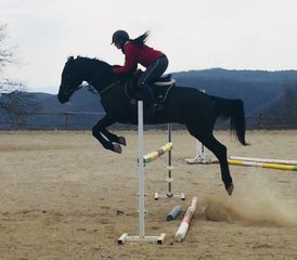 8 Tage Springreiten- oder Dressurtraining mit Ausreiten in Spoleto, Provinz Perugia, Italien - Photo 5