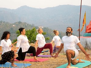 12 días de curso de profesorado de yoga de 100 horas en Rishikesh, India