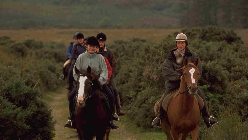 6 Day Guided Galway - Clare Post to Post Horse Trail Riding in the West of Ireland