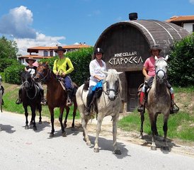 2 jours de vacances équestres aux abords de Sredna Gora, Bulgarie - Photo 5