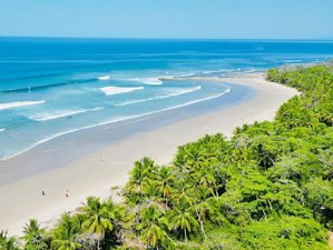 4 Day Couples, Friends, or Solo Yoga and Surf Retreat in Santa Teresa, Costa Rica