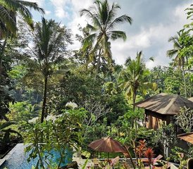 12 Day 100-hour Practical Yet Sacred Yoga Teacher Training Course in Bali, Indonesia - Photo 2