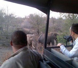 4-Daagse Klassieke Safari in Balule Natuurreservaat en Kruger National Park, Zuid-Afrika - Photo 3
