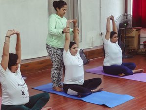 8 Day 85-Hour Prenatal and Postnatal Yoga Teacher Training Course in Rishikesh, India