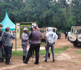 63 días de trekking de gorilas en Uganda vía Kigali, Ruanda - Photo 1