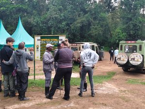 3-Daagse Gorilla Trekking in Oeganda via Kigali, Rwanda
