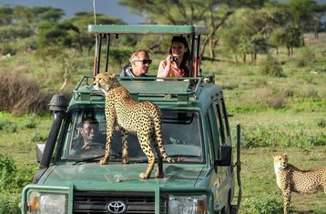 4-Daagse Masaï Mara En Lake Nakuru Groepssafari In Kenia