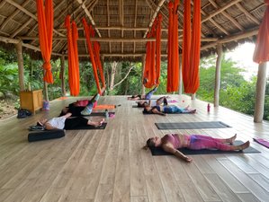 8 Day Aerial and Hot Yoga Retreat in Puerto Vallarta, Jalisco