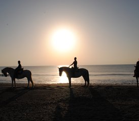014 Tage Privates 1-zu-1 Achtsamkeits-Retreat Natur, Reiten und Yoga in Malaga, Spanien - Photo 1