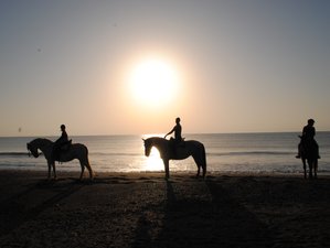 14 Day Private 1 to 1 Awareness Retreat Nature Horseback Riding and Yoga in Malaga, Spain