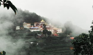 Nagarjun Retreats und Reisen