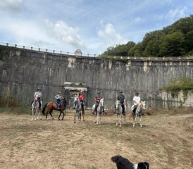 8 jours en stage d’équitation guidée dans l’Istanbul historique et la forêt de Belgrad, Turquie - Photo 3