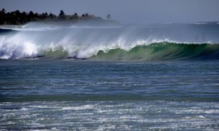 Playa Avellanas Retreats & Trips