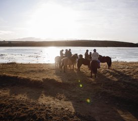 4 jours vacances équestres hivernales et aurores boréales à Selfoss, Islande - Photo 5