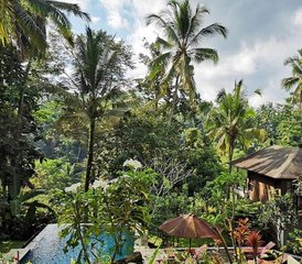 28 días de curso de profesorado de yoga de 300 horas, científico y espiritual, de varios estilos en Bali, Indonesia - Photo 2