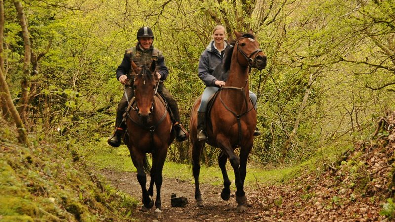 7 Day The Great Dartmoor Cattle Drive Horse Riding Holiday in Devon