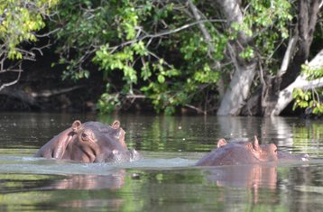 4 Day Affordable Safari in Kafue National Park, Zambia