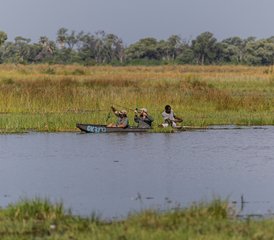 3-Daagse Mokoro Safari in Okavango Delta, Botswana - Photo 5