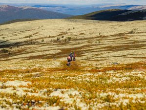 7 Day Guided Cycling Tour Along The Norwegian Mountain Bike Haute Route