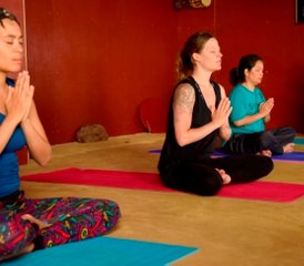 8 días de curso de profesorado de yoga de 50 horas en Kerala, India - Photo 2
