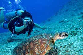 Tauchen und Yoga Retreats und Reisen
