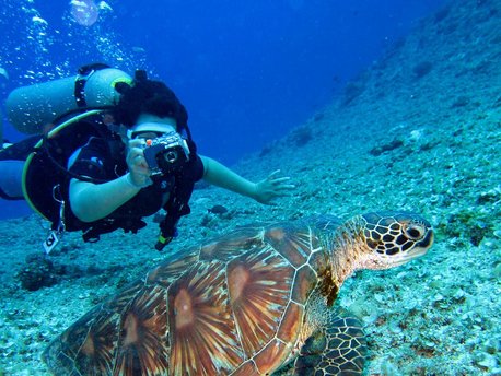 Diving & Yoga