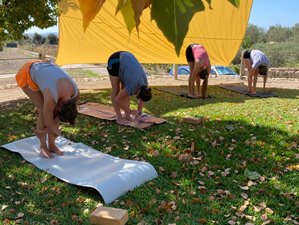 5 Day New Year’s Yoga Retreat: Manifest and Flow into 2026 in Mallorca, Spain