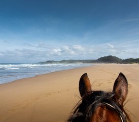 8 jours de randonnée équestre Wild Coast Trail le long de la côte sauvage d’Afrique du Sud - Photo 5
