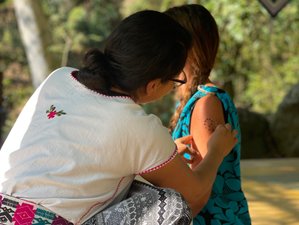 5 Day Kambo Sacred Medicine Cleansing and Healing Retreat With Yoga in Xico, Veracruz