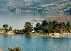 Dunedin Retreats & Trips