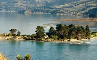 Dunedin Retreats und Reisen