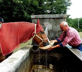 7-Daagse Carpe Diem Paardrijvakantie in Isernia, Molise, Italië - Photo 3