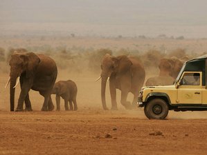 3 días de increíble safari en Uganda, en el Parque Nacional de las Cataratas Murchison
