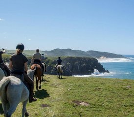 2 jours en stage d’équitation sur la plage du sentier de la rivière Kei sur la Wild Coast, Afrique du Sud - Photo 4