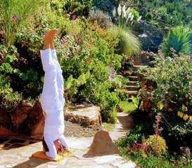 8 jours en stage privé de yoga de détox et purification à l'oasis florale de Vidyamor à La Palma, Espagne - Photo 3
