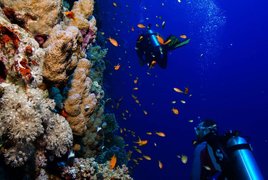 Tauchreisen Retreats und Reisen