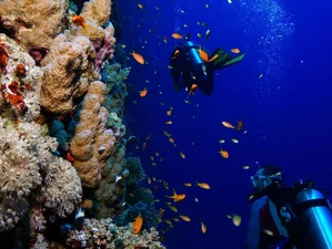 Tauchreisen Retreats und Reisen