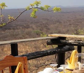 8 Dag Safari in Tanzania - Selous Game Reserve / Mikumi National Park / Ruaha National Park - Photo 5