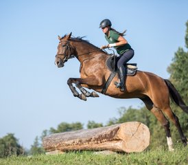 94 Day Jumping Training and Horse Riding Holiday in Galiny, Gmina Bartoszyce, Poland - Photo 1