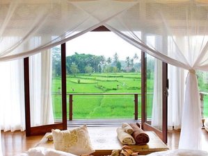 7 Day 5 Element Qigong and Yin Yoga Bali Retreat in Ubud, Indonesia