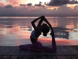 7 jours de rêve privé personnalisé en stage de yoga à Puerto Viejo de Talamanca, Costa Rica