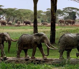 9 días de safari de lujo en Kenia en Nairobi, Amboseli, Masái Mara y el lago Nakuru - Photo 5