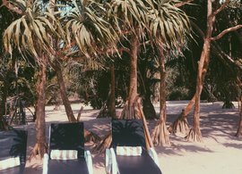 Bentota Retreats & Trips