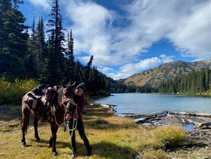 3 Day Ogre Lake Horseback Riding Expedition in British Columbia